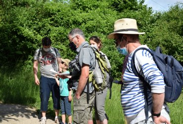 RANDONNÉE MILLE PATTES DANS LA VILLE ET LE PARC - 12 JUIN 2021